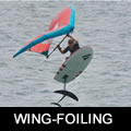 wingfoiling image